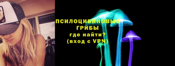 спайс Баксан
